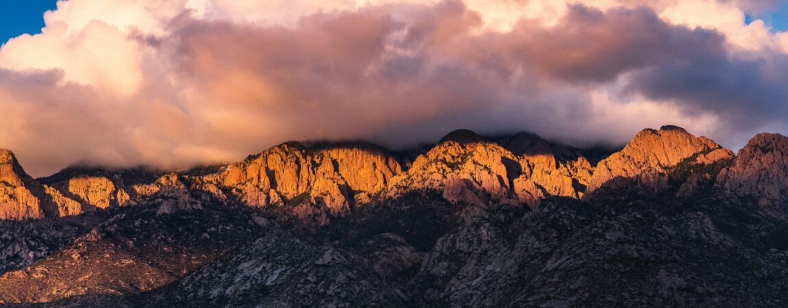 raychel-sanner-8asEEtAnkBc-unsplash