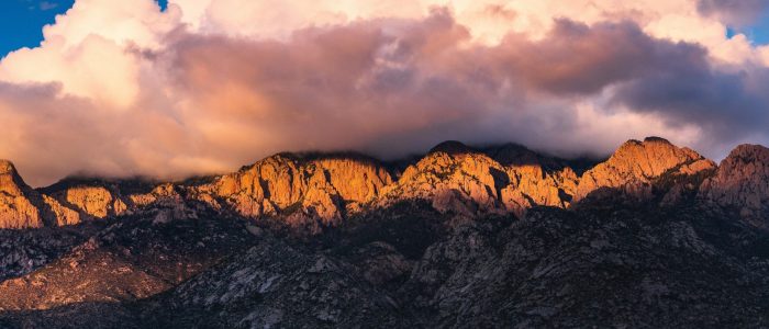 raychel-sanner-8asEEtAnkBc-unsplash